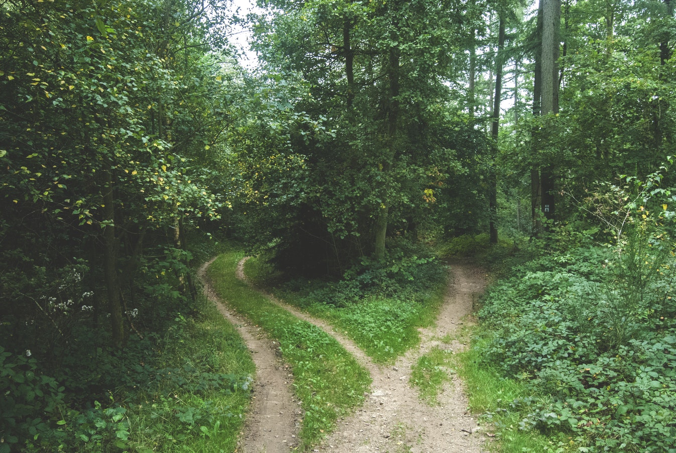 Managing High-Stress Co-Parenting